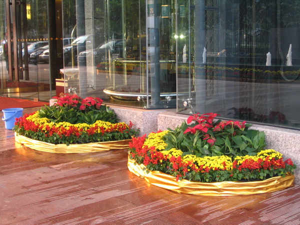酒店外观光电梯花卉摆放