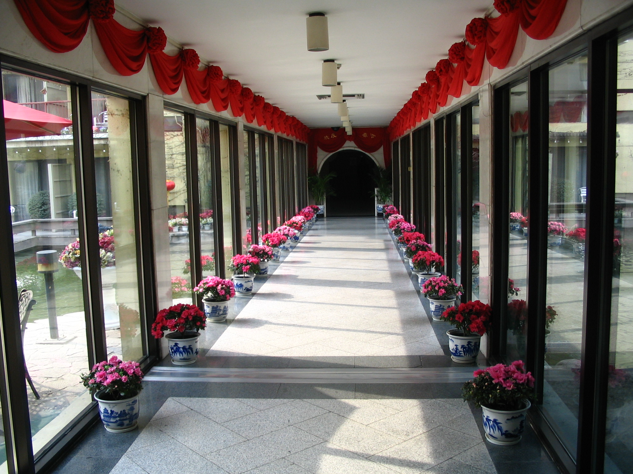 酒店走廊花卉摆放