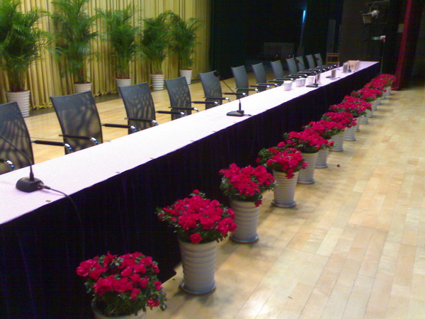 会议桌前花卉摆放