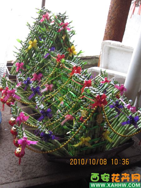 开运竹