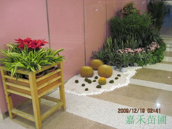 商场大厅摆放花堆