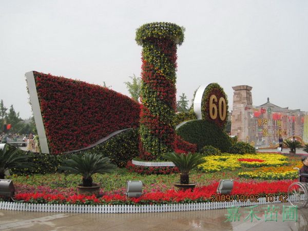 庆祝新中国成立60周年花卉摆放实景