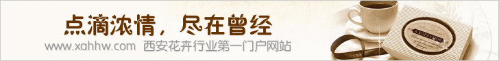 大宋提刑官与建兰外传