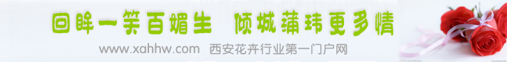 花卉租摆在风水学中起到的四个作用