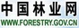 中国林业网
