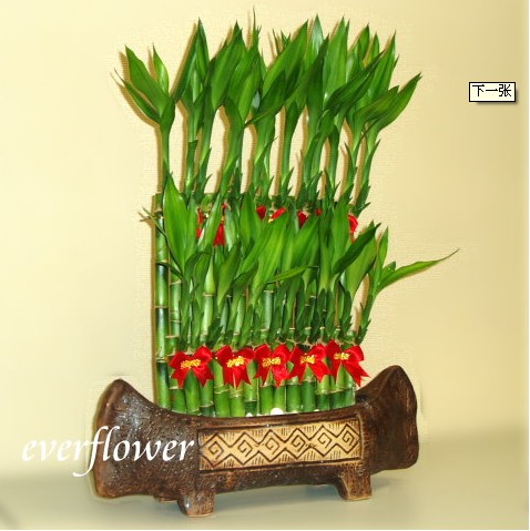 Ԣ˵ķ羰ͼƬ