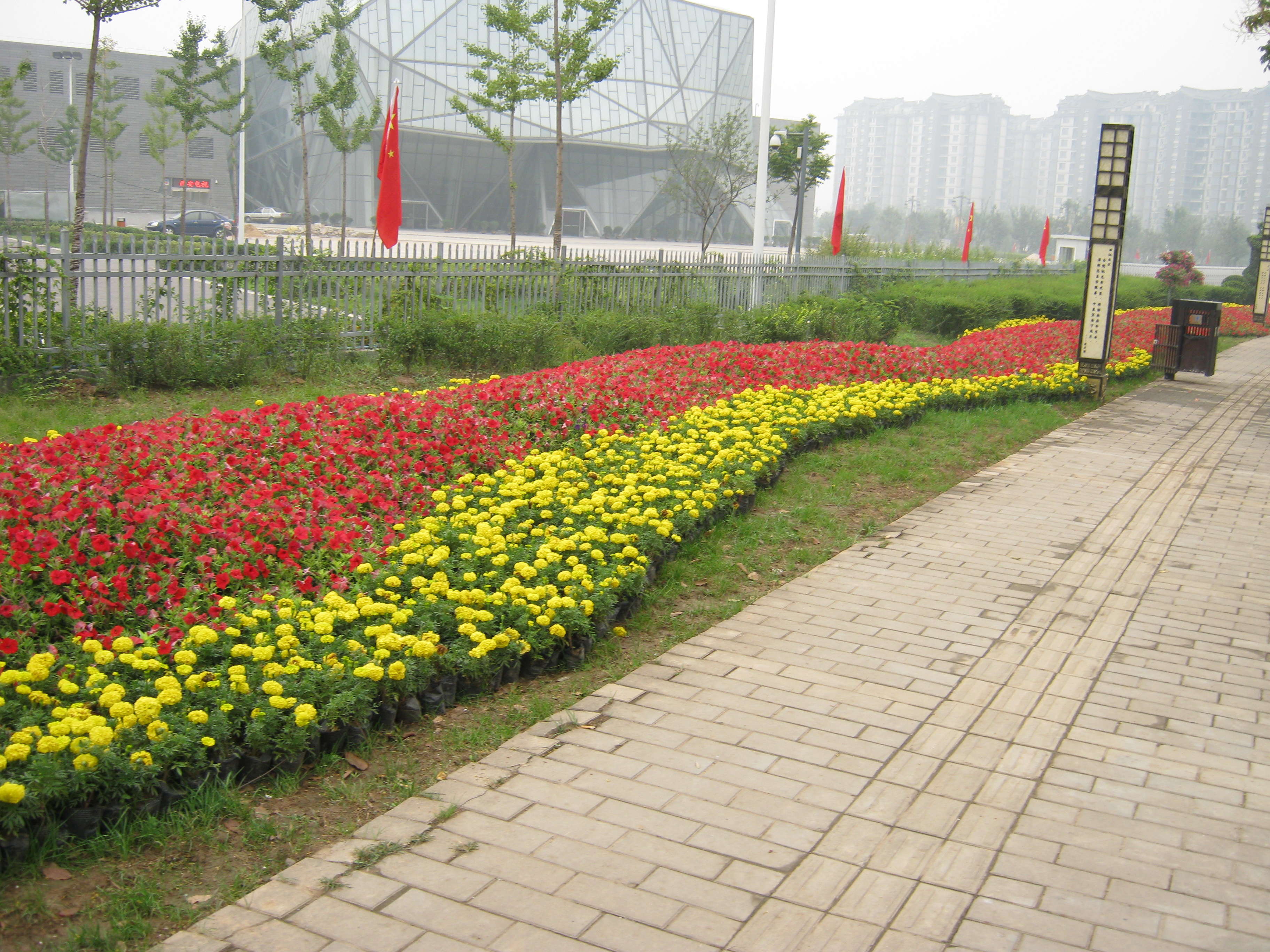 道路花卉摆放实景