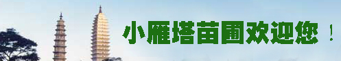 小雁塔苗圃市场简介