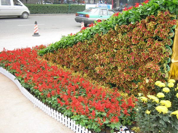 道路摆放实景