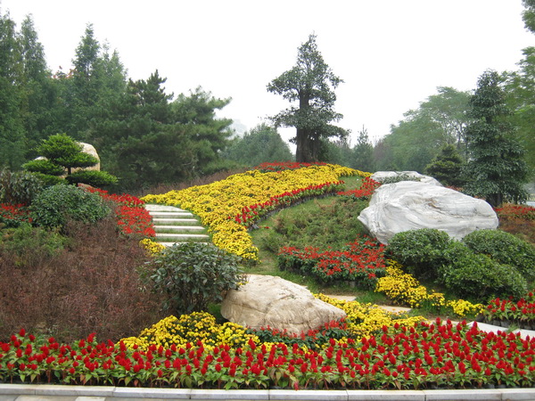 公园花卉摆放实景