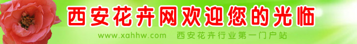 办公室花卉的摆放方法与风水作用