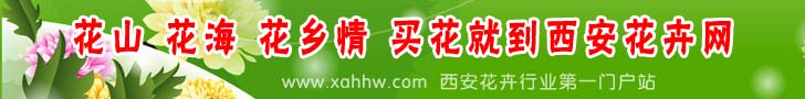 哪些植物影响家庭运势