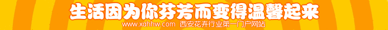 玫瑰三节叶蜂的形态及防治