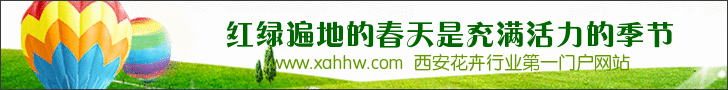 如何拍摄盆景作品