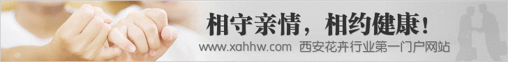 养护种家庭中的蟹爪兰