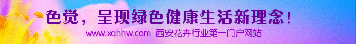 室内养花