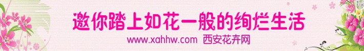 4种花卉荣获&ldquo;云南名牌&rdquo;称号