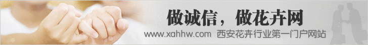 五角枫栽培技术