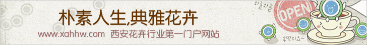 仙人掌与多肉植物的光照管理