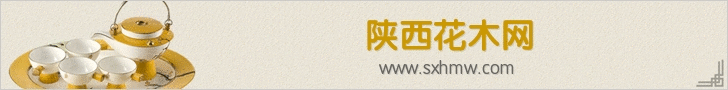 植物为土壤“解毒”