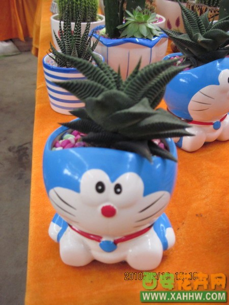 十二天