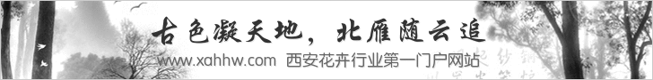 君子兰保活