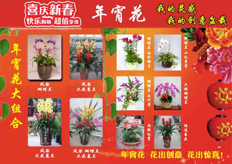 植物风水与人体健康（二）