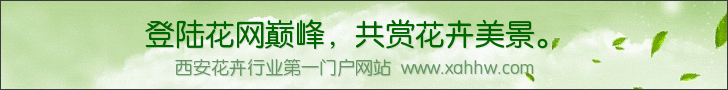 与风水相关的花卉