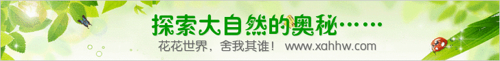 怎样去掉芦荟毒性