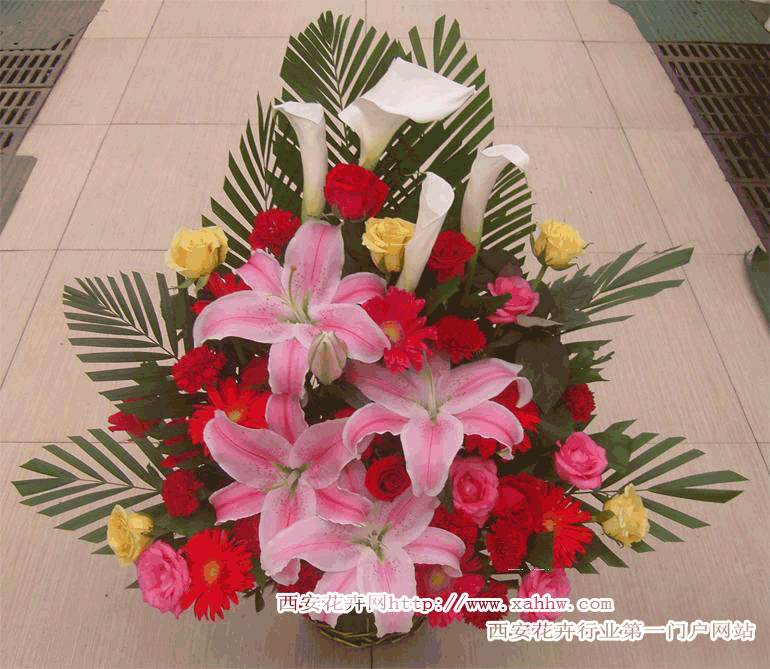 探病送花有讲究