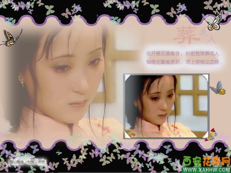 花与《红楼梦》