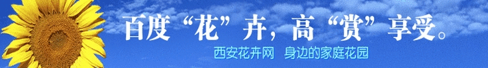 中 国 省 花 及 市 花