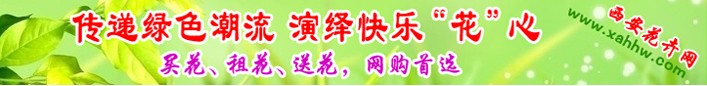 虎尾兰