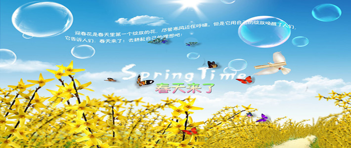 那片绿海