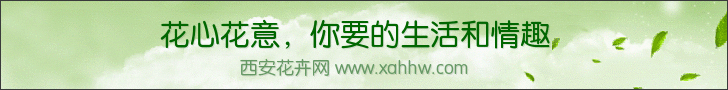 【花卉信息】双鱼座与花