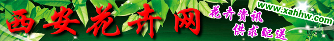 【花卉专题】连战会见孙清云 祝愿西安世园会圆满成功