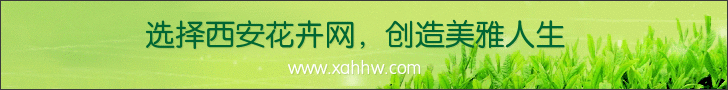 【花卉专题】梨花风起正清明 踏青观景迎春光