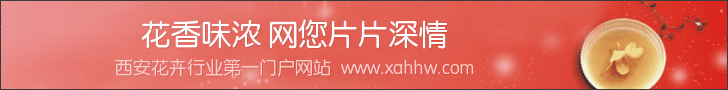 【花卉新闻】&ldquo;夜皇后&rdquo;亮相中山公园