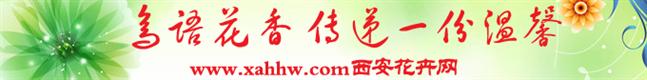 【花卉信息】一品红的传说