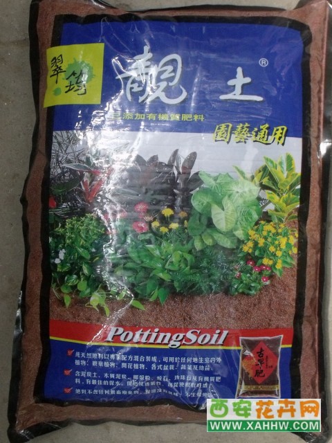 靓土