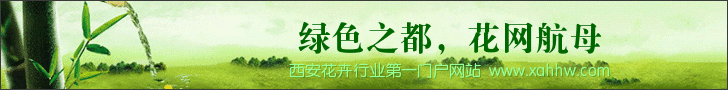 【花卉信息】我喜欢茑萝花