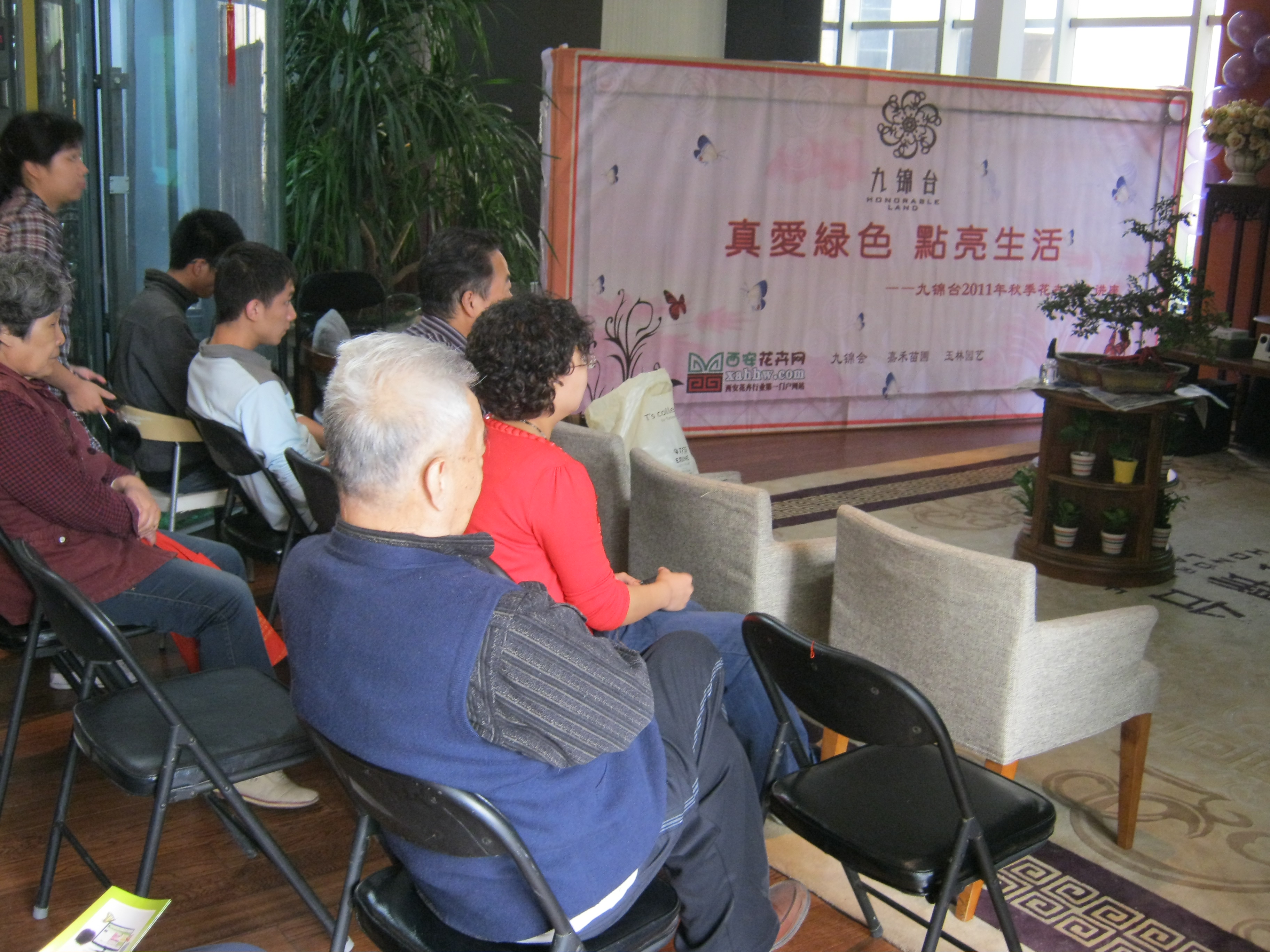 【花卉专题】郁金香园――早春树林花卉专题