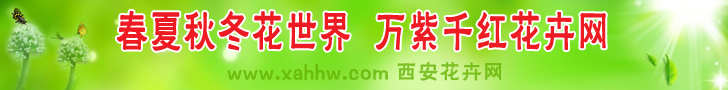一颗开花的树