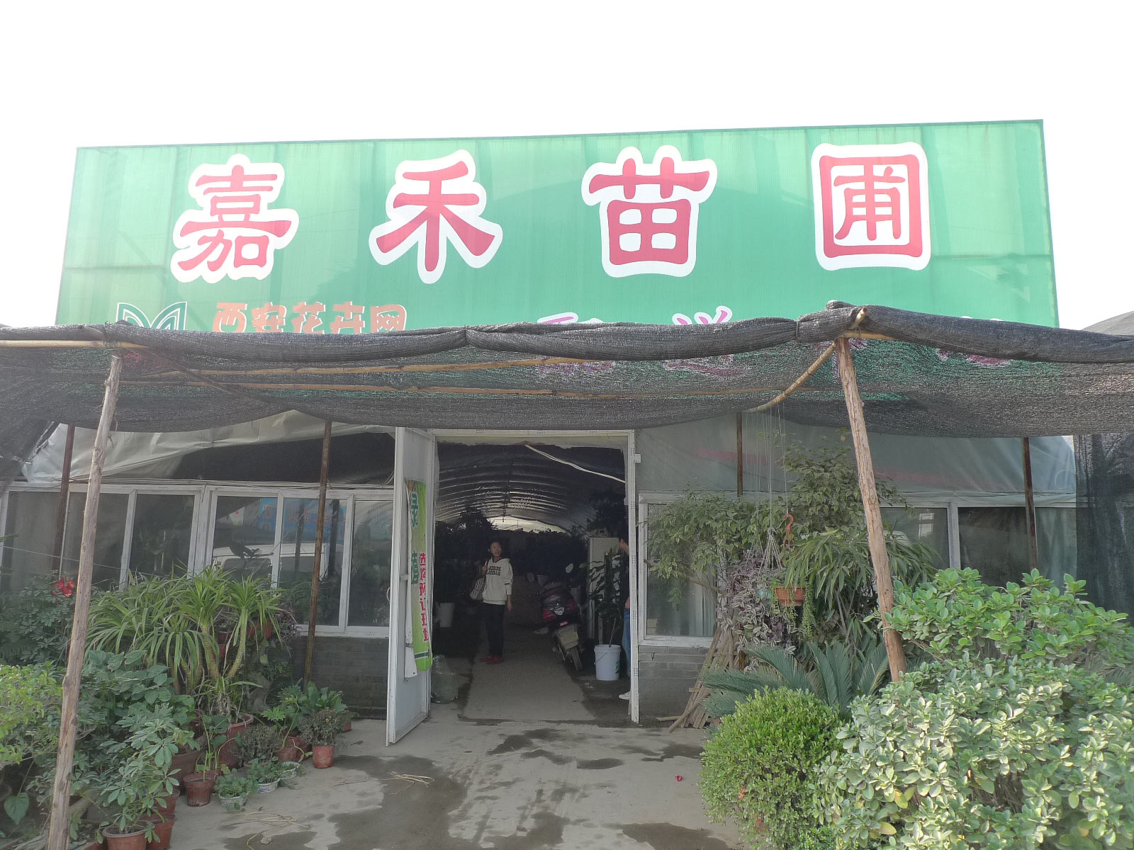 【花卉新闻】西安雁锦花卉市场――西部地区最大的花卉批发市场