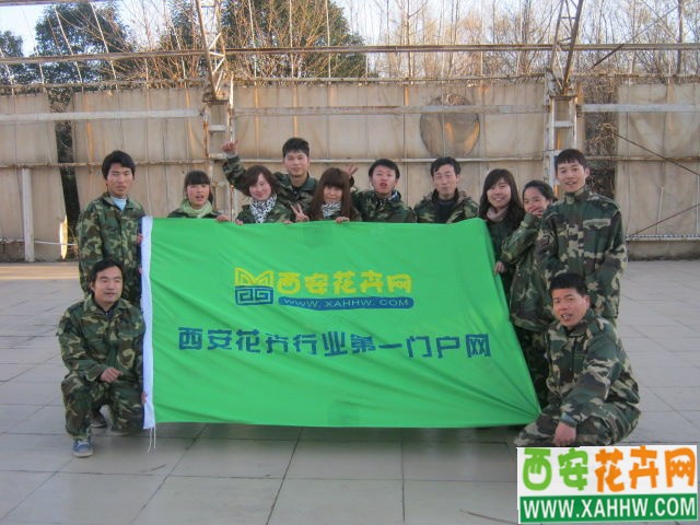 【花卉专题】看花卉网素拓如何&ldquo;一个都不能少&rdquo;
