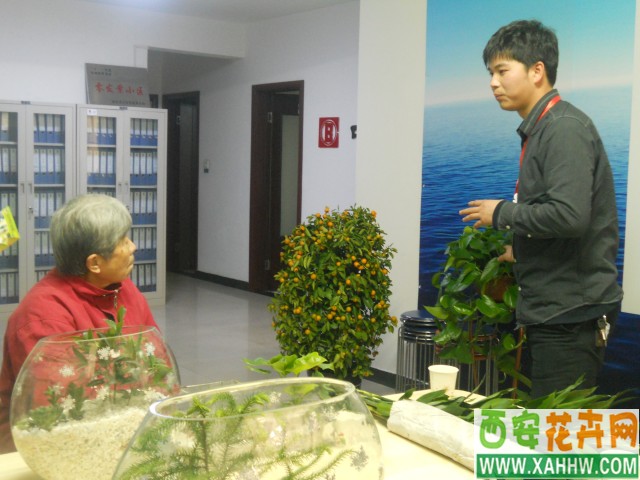 【花卉新闻】&ldquo;传道，授业，解惑&rdquo;