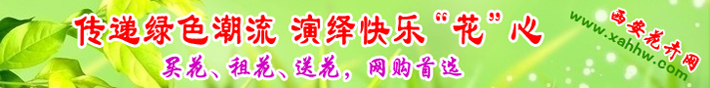 【花卉信息】花中仙子―仙客来