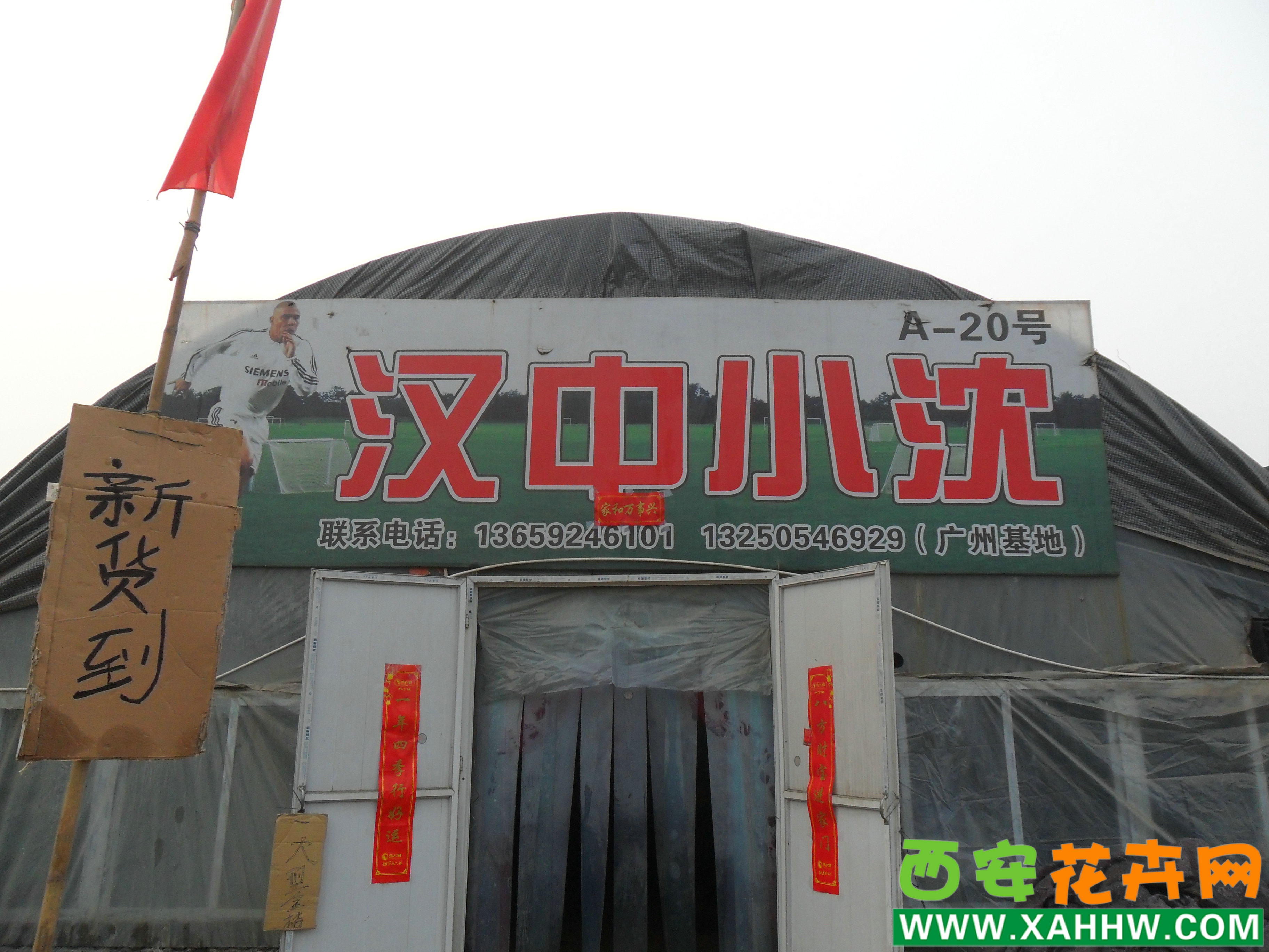 【花卉新闻】西安花卉网为您提供新的花卉消息