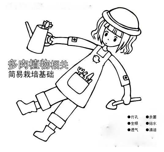 【花卉信息】多肉植物简易栽培