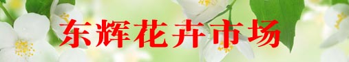 东辉花卉市场简介
